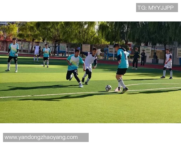 小宇与足球明星共同挥洒汗水在绿茵场上展现足球魅力与友谊的精彩瞬间 小宇与足球明星共同挥洒汗水在绿茵场上展现足球魅力与友谊的精彩瞬间