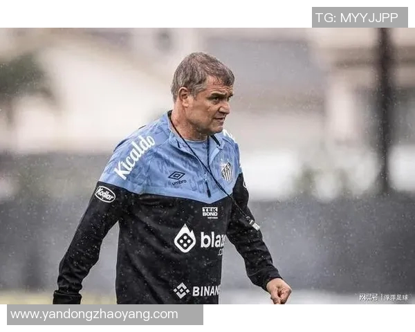 足球明星的传奇人生与辉煌成就全景介绍