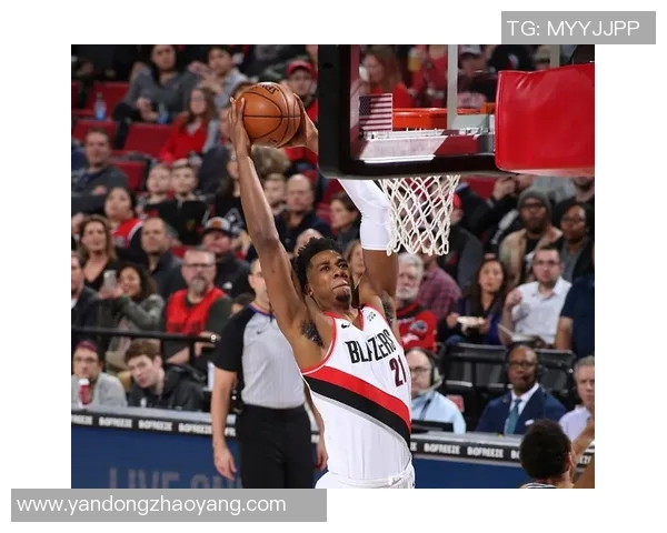 探索BLZ篮球明星的成长之路与辉煌成就背后的故事与启示