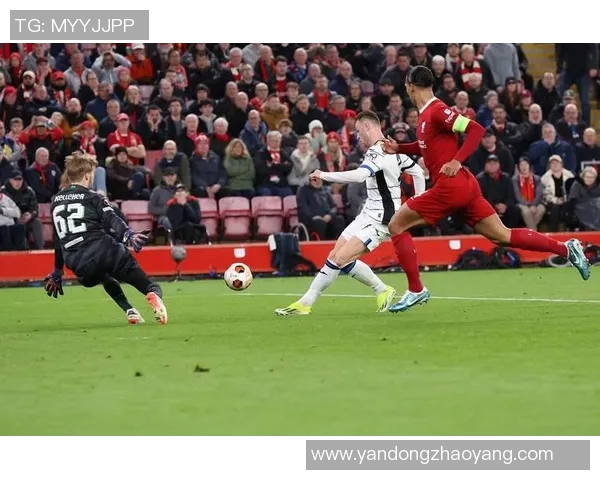 全球主要足球赛事回顾与展望精彩瞬间与未来趋势分析