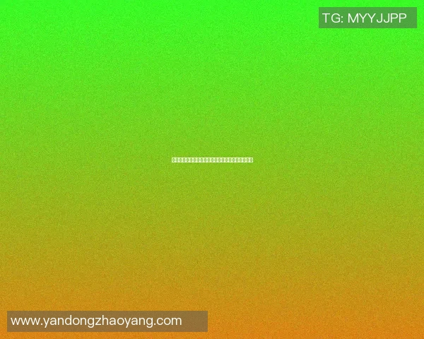 明星篮球图展示球场风云人物与精彩瞬间的完美结合