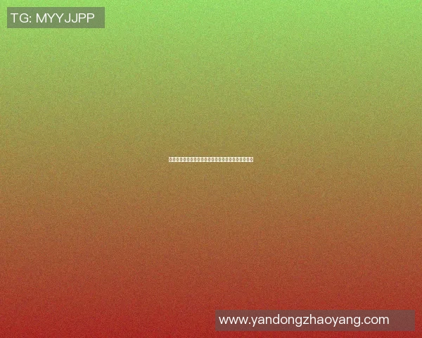 篮球明星的辉煌成就与背后支持者的默默付出全景回顾